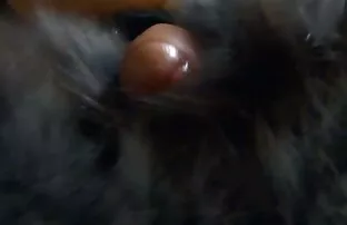 XXX Hure eldosyat reife frauen nackt videos in den Schwanz und Mähne