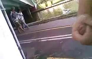 XXX Rothaarige Tier Angebote für Sie und für reife hausfrauen videos alle Löcher